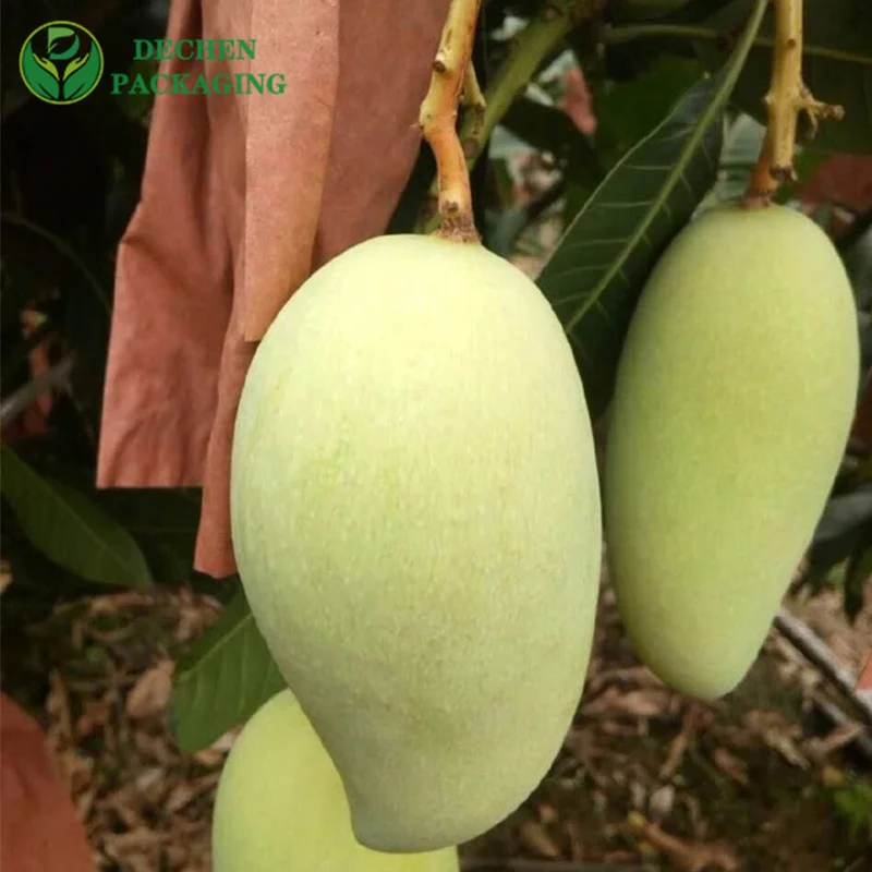 Juego de frutas de mango