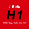 H1