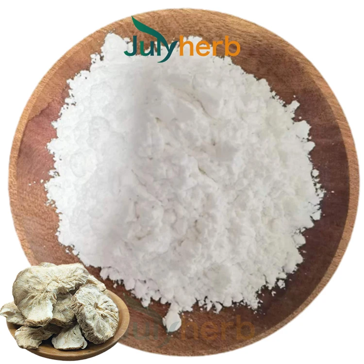 Chicory root extract powder 