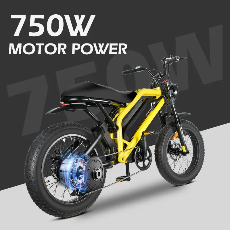 MZ-12 Motorcycles E-Bike Fatbike - 48V Electric City Bike