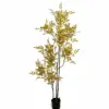 New nantianzhu yellow-180cm