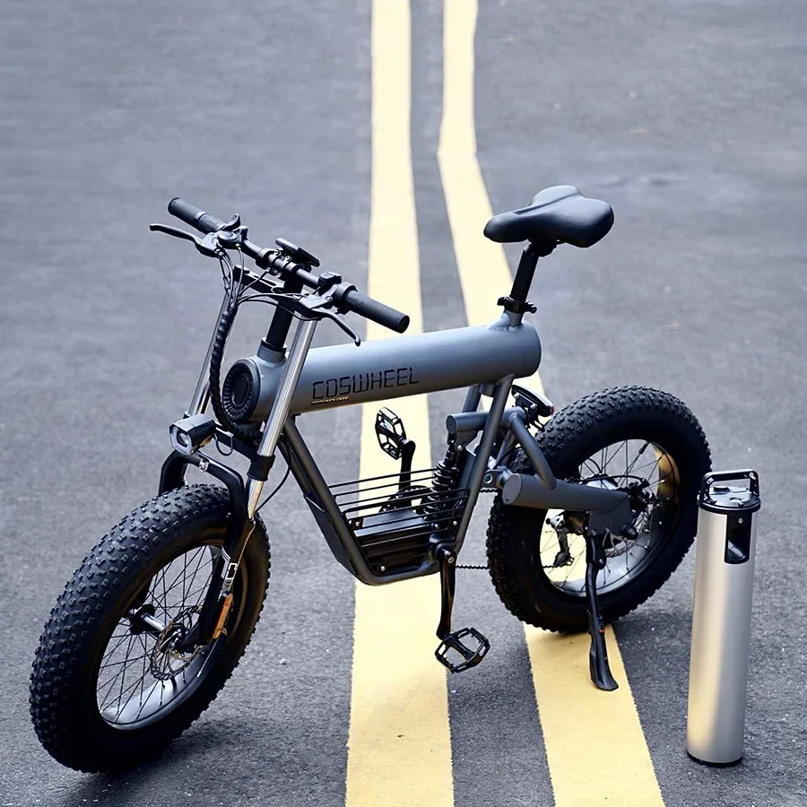 COSWHEEL T20 Electric Bike 20 Inch Fat Tire Ebike