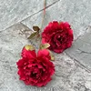 21#3 head auspicious peony red