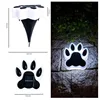 Bear claw underground light [white light]
