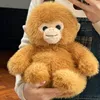 Golden brown-golden monkey
