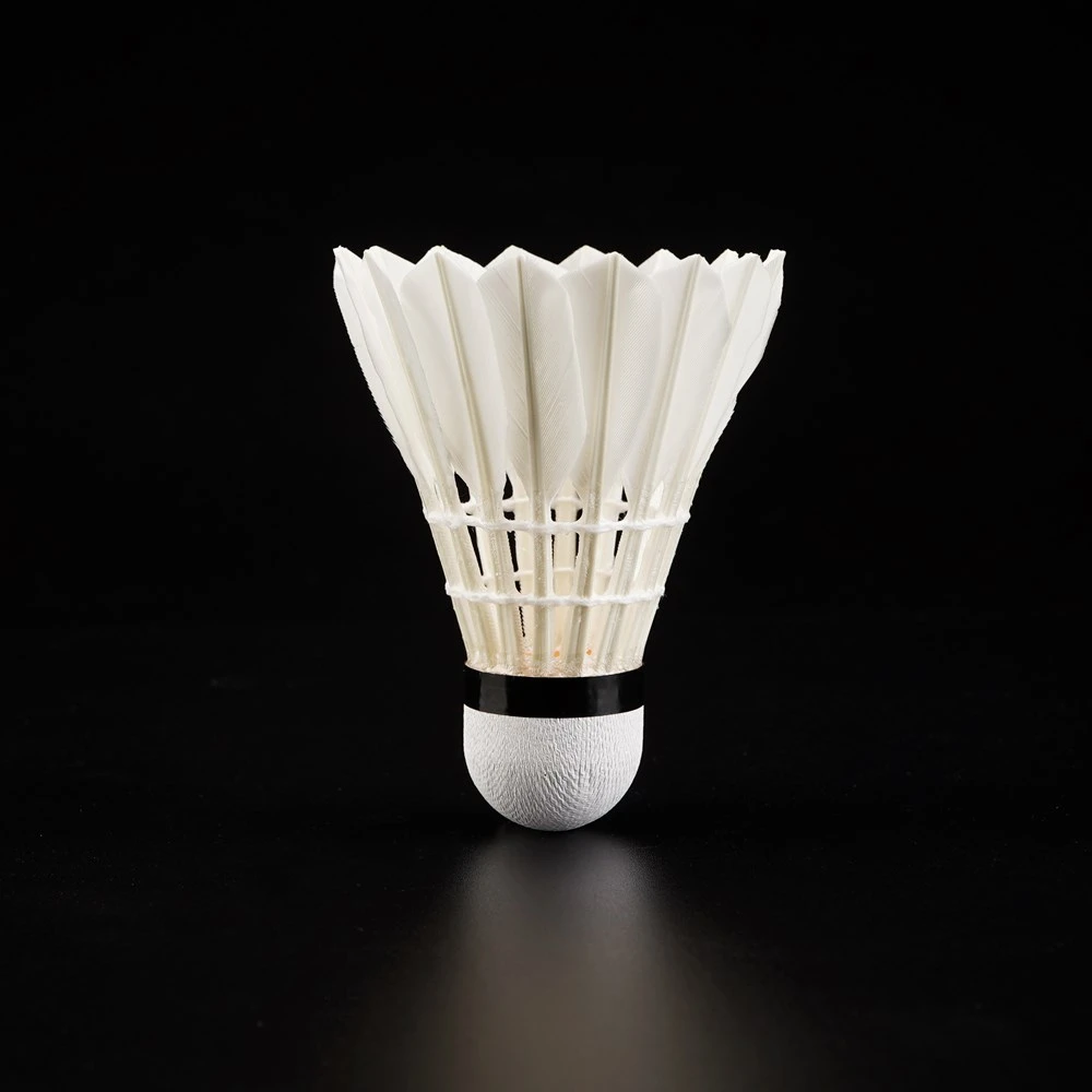 Wprofessional 12pcs High Quality Protech Rsl Badminton Shuttlecock Chaonell a 6 Type Malaysia