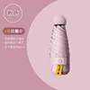 Pink-6-rib full blackout-single umbrella