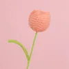 ทิวลิปสีชมพูอ้วนเกาหลี ดอกเดี่ยว ขนาดใหญ่