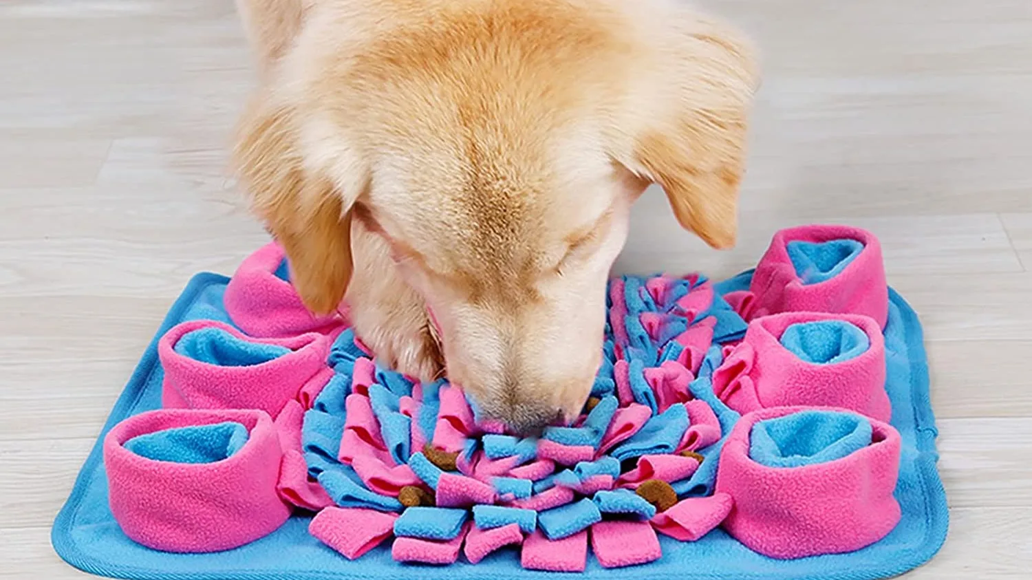 Weego Pet Feeding Mat Puzzle Toys For Relieve Stress Restlessness