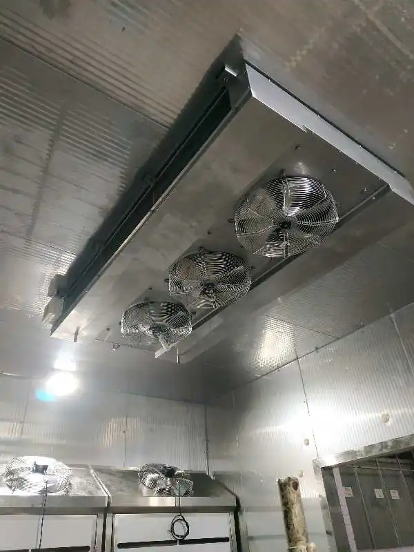 Automatic low-temperature meat thawing machine with circulating air system for meat processing plants