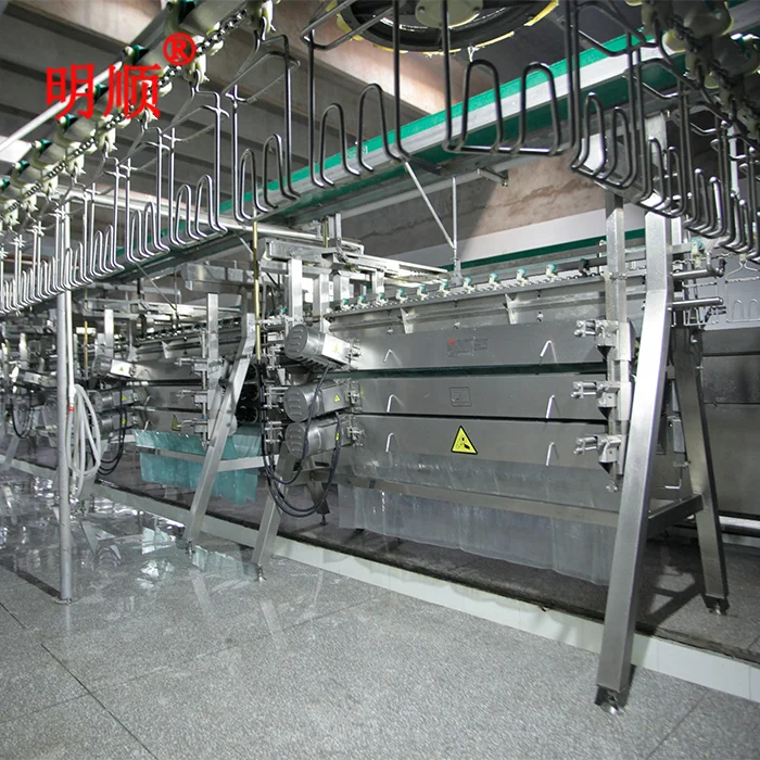Chicken Slaughter Machine  Small Poultry Slaughter Machine Plant  Pigeon Slaughtering Line