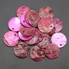 Rosa rosa