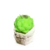 Vert (menthe)