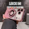 Rosa rosa