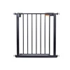 Black Security Door