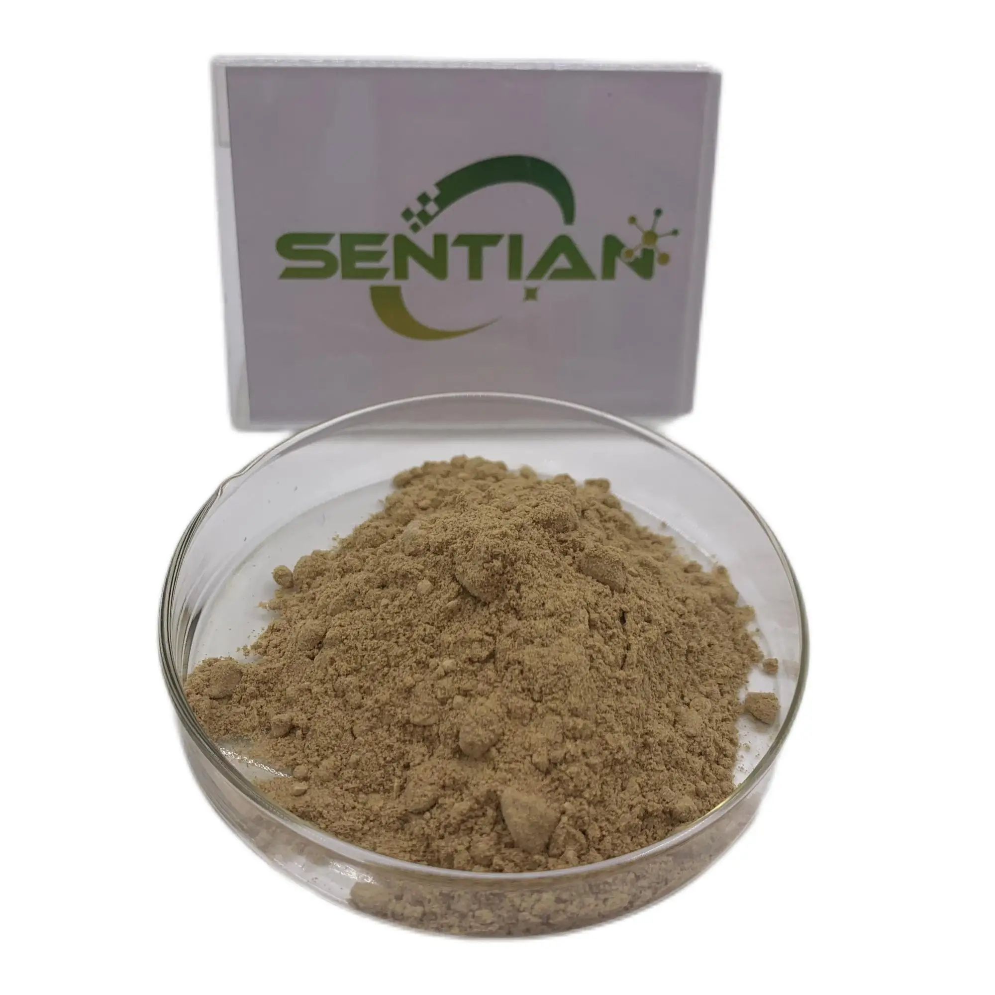Orchis Spectabilis Powder 10:1 Genus Orchis Extract Orchis Mascula Extract