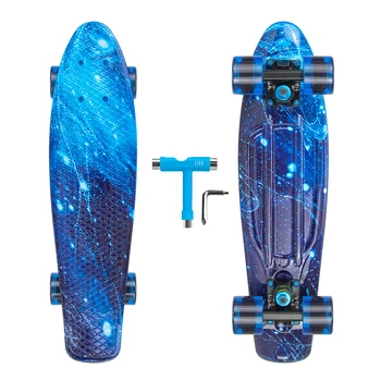 22 inch plastic skateboard with big LED wheel fish boards penny skateboard
