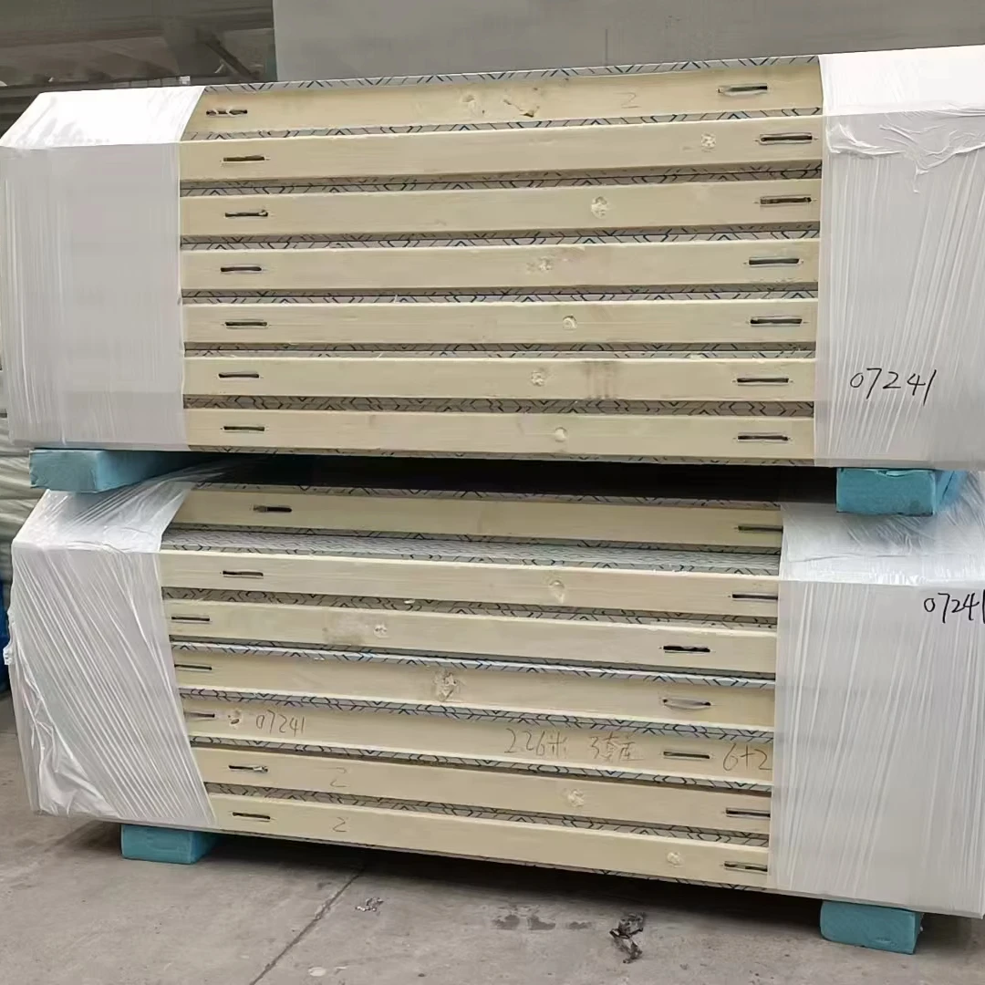 Modern Freezer Outdoor Cold Storage with Smart Digital Controls