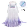 BX1693 purple