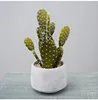 Verde#4