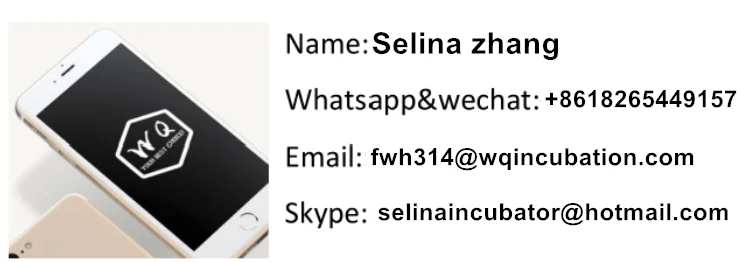 _20220424114923_.png