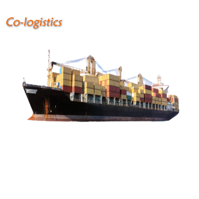 Shipping Forwarder Service From China to Mumbai India