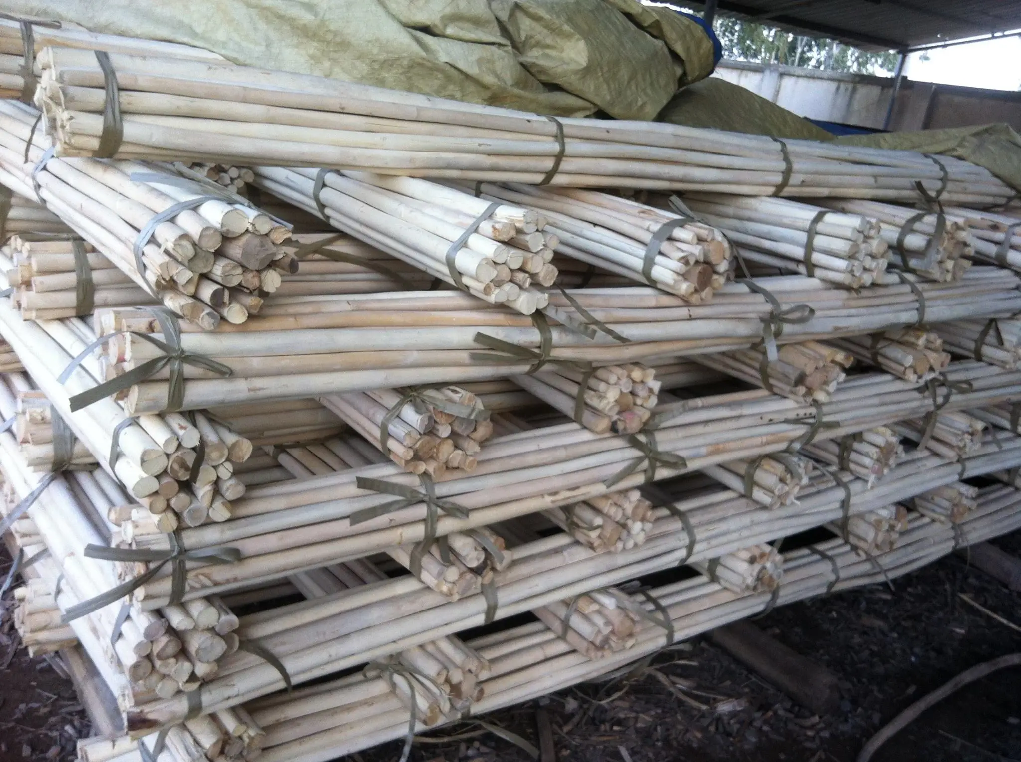 Rattan Cane bing Viet Nam Natural White Color Material Rattan