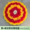 Couronne de chrysanthème Huang Meihong