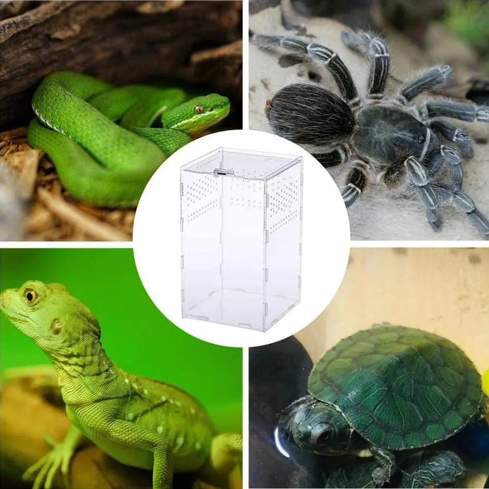 NANEEZOO Acryl-Terrarium Mit Magnettür – 20,3x10,2x10,2 Cm, Für Kleine Reptilien & Insekten