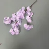 Lavanda