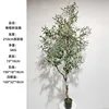 210cm olive tree (detachable version)