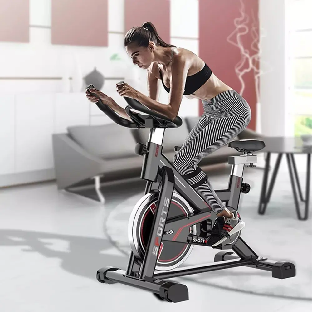 Home Gym Fitness Bike De Spin Magnetic Schwinn Spin Bike Cycle Indoor Exercise Machine Exercise Fit Bike manufacture