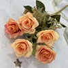 สีส้ม
