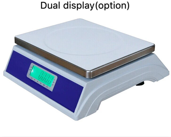 Table Top Digital Weighing Scale with Printer