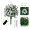 Violet planted in white