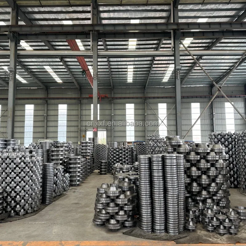 NXF DN15-1200 Class 150-1500 Product Type Pipe Fittings ASTM B637,AMS 5383 Alloy G-30/2.4603/UNS N06030 Slip-On Flange
