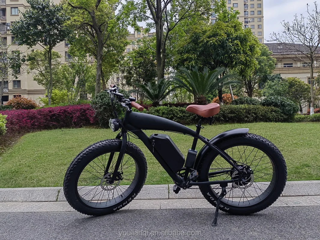 20 inch fat tire ebike conversion kit