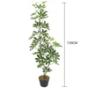 130CM