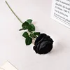 Rama única negra