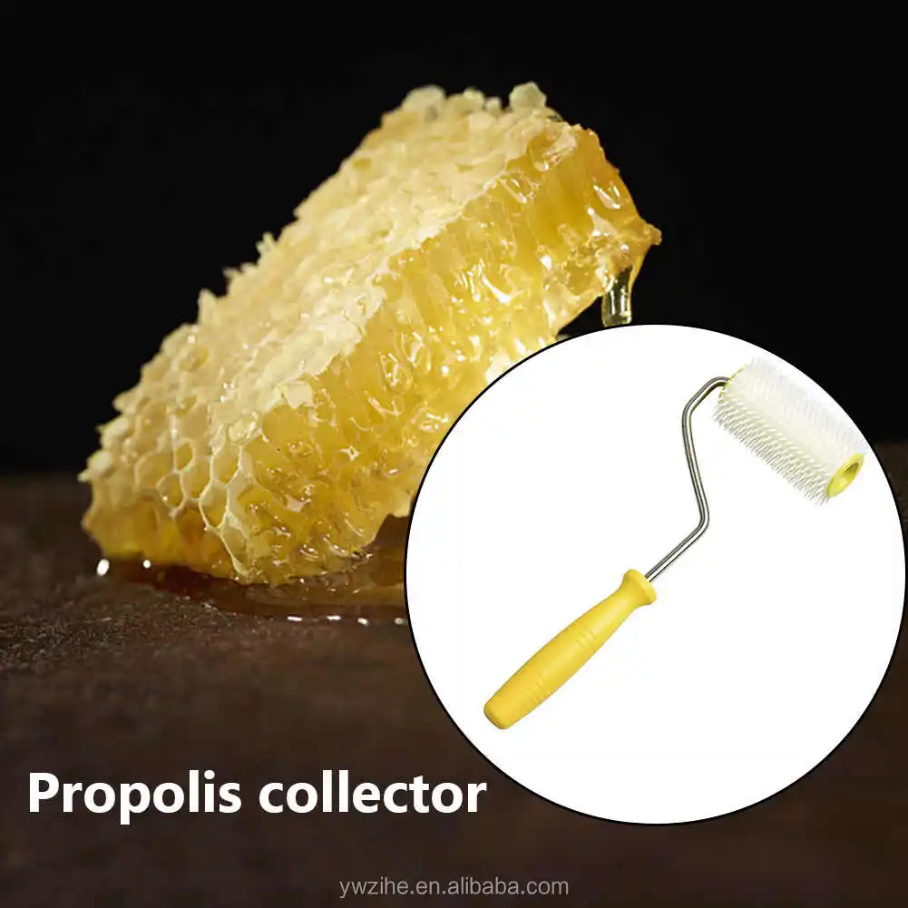 Kit 2 Outils Apiculteur En Acier Inoxydable - Grattoir Ruche Et Lève-Cadre Avec Crochet En J - Équipement Apiculture
