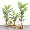 Areca palm 2#