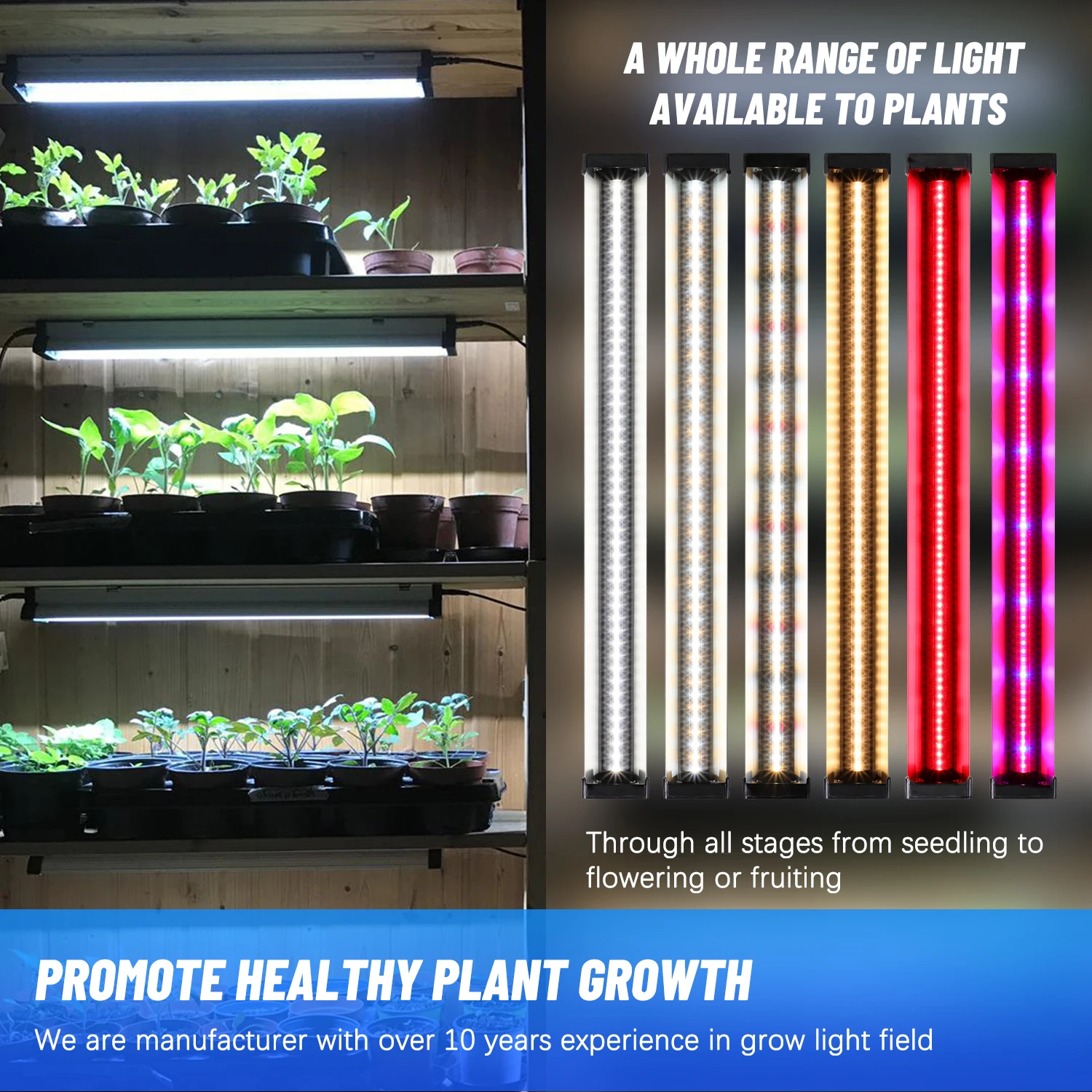 4FT EDK 48W T5 Custom Panel Fanless Hydroponic Kits Indoor Plant Full Spectrum Etl Led Grow Light for Hydroponics System