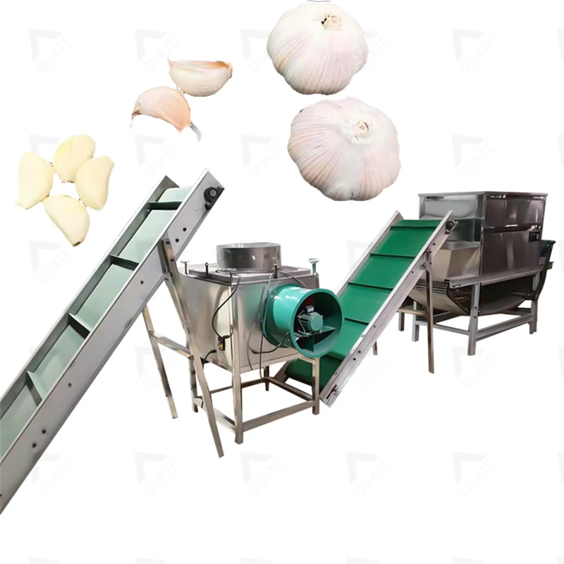 Fully Automatic Garlic Processing Line Garlic Clove Separator Machine Garlic Cleaning Machine