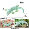 Gecko 2359 colorido