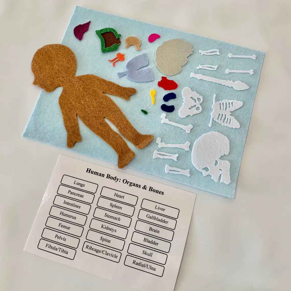 Handmade Activity My Body Puzzle 2023 Educational Toys Science Montessori Human Anatomy Felt Board