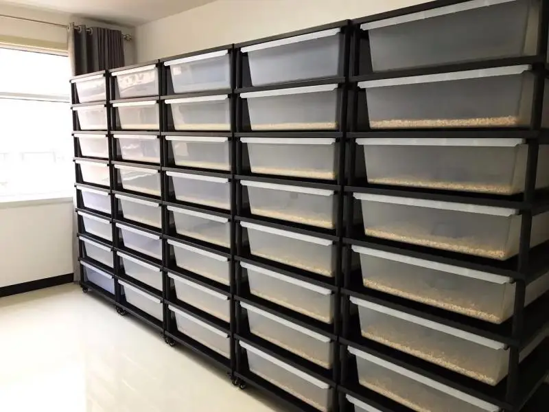 Flat Packed Reptile Snake Rack Snake Breeding Rack For Pet Cages Buy