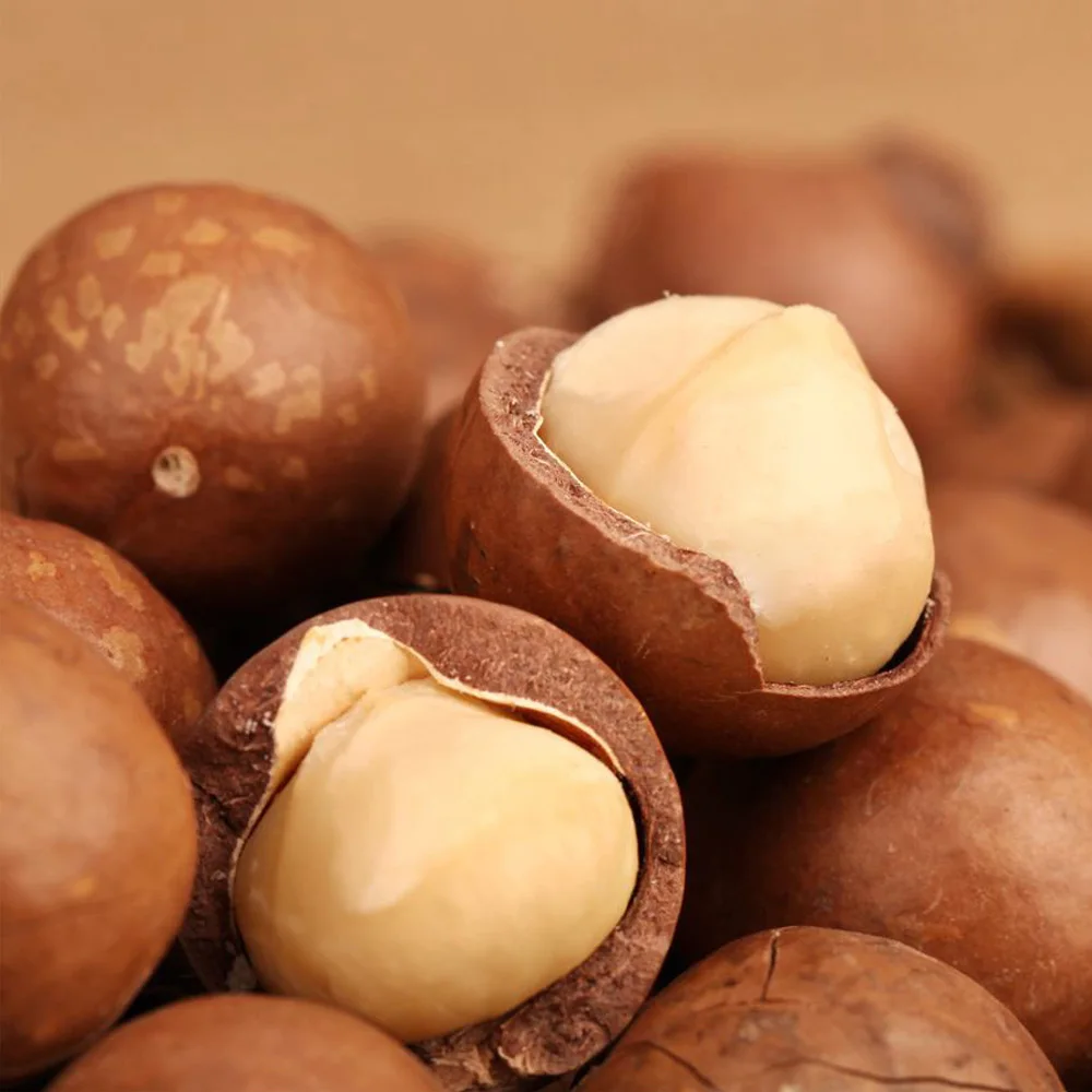 macadamia nuts premium grade ultimate maca healthcare supplement