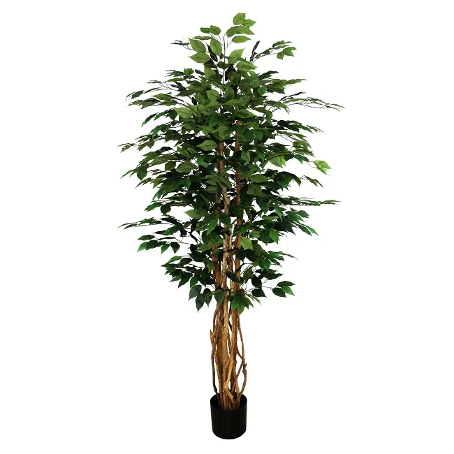 160厘米人工榕树benjamin microcarpa| Alibaba.com