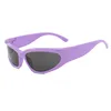 Foglio C16 Cornice Viola Tutto Grigio