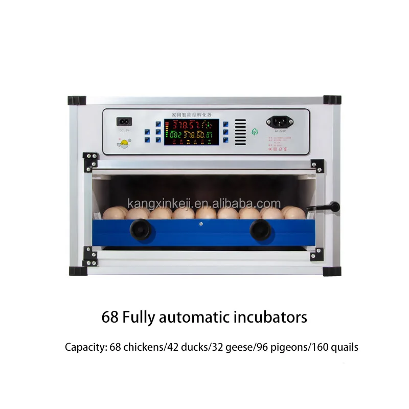 ミニ鶏卵インキュベーター68136204 272340卵孵化機12220V